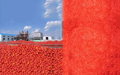 Líneas de procesamiento de pasta de tomate