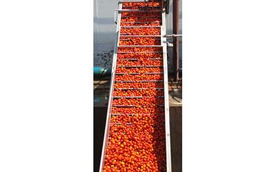 Máquinas para tratamiento post-cosecha de frutas