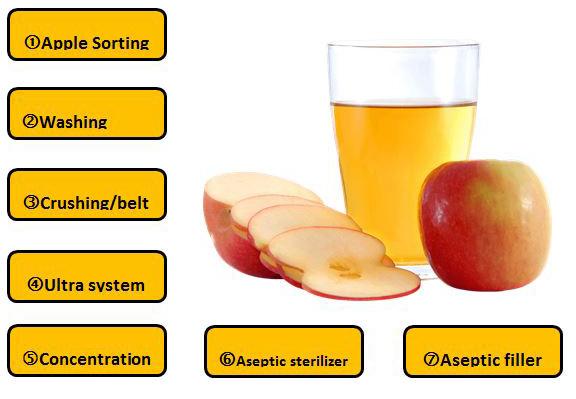 Línea de procesamiento de jugo concentrado de manzana