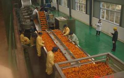 Línea de procesamiento de jugo concentrado de naranja