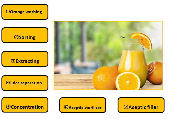 Línea de procesamiento de jugo concentrado de naranja