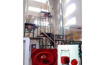 Líneas de producción de tomate en polvo